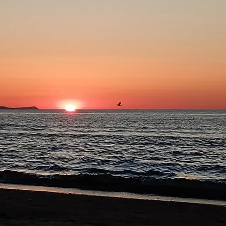 Park -lividus112 * Świnoujście