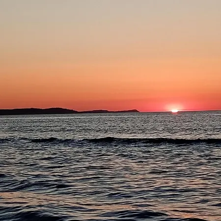 Park -lividus112 سفينويتشي