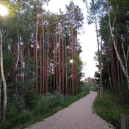 Park -lividus112 شقة *