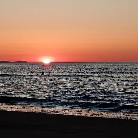 Park -lividus112 Lägenhet