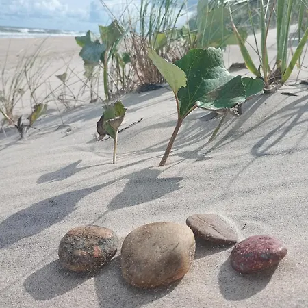 Lägenhet Park -lividus112 Świnoujście