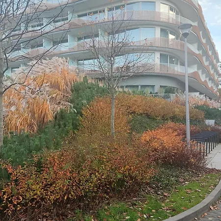 Park -lividus112 *