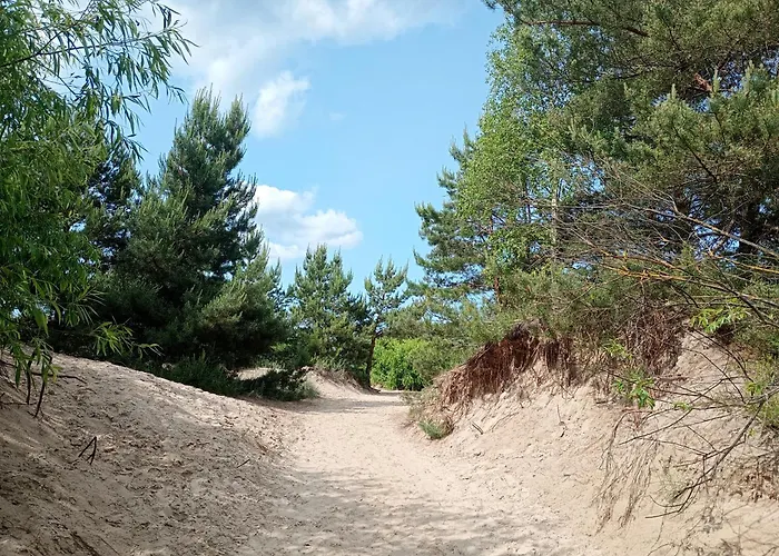 Park -lividus112 سفينويتشي