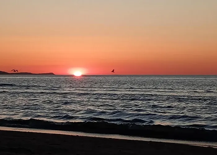 Park -lividus112 * سفينويتشي