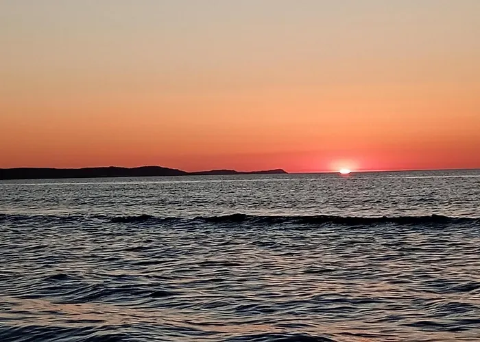 Park -lividus112 سفينويتشي