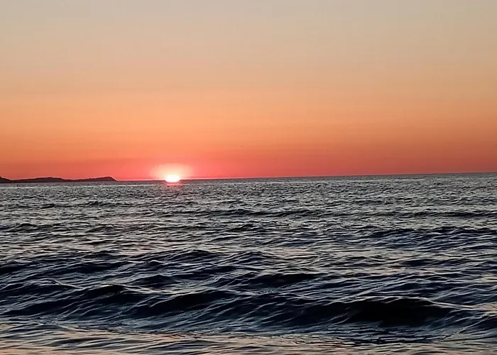 Park -lividus112 Apartament