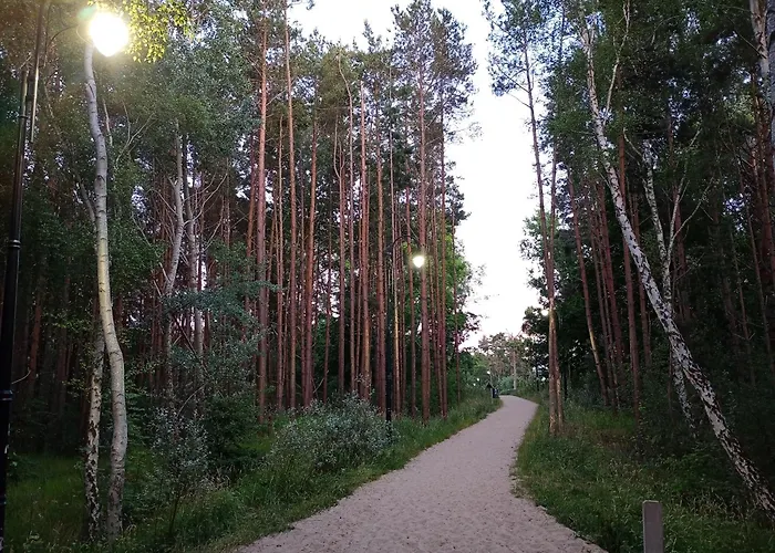 Park -lividus112 شقة *