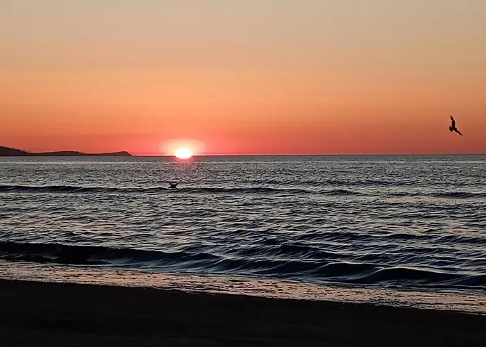 Park -lividus112 شقة