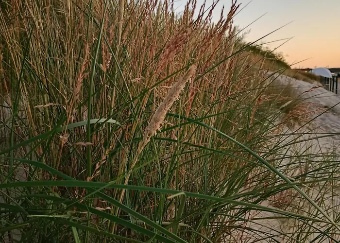 Park -lividus112 Apartament *