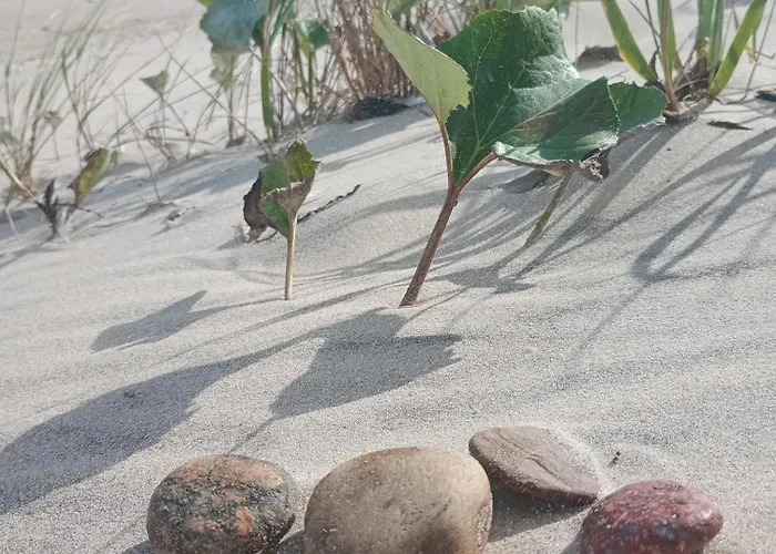 Apartamento Park -lividus112 Świnoujście